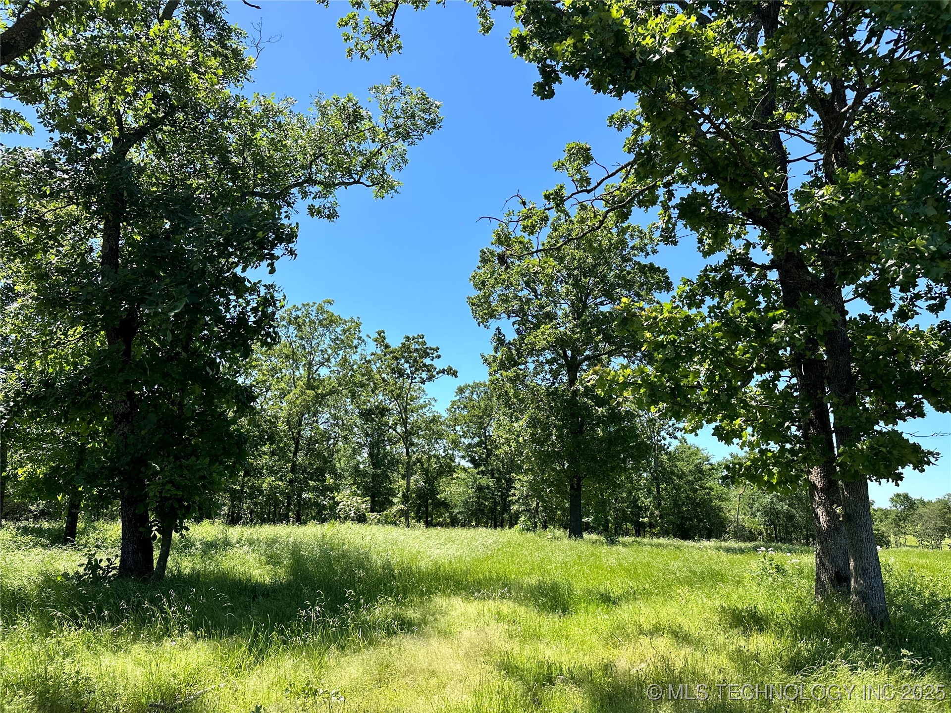 24 Blake Circle Property Photo 8