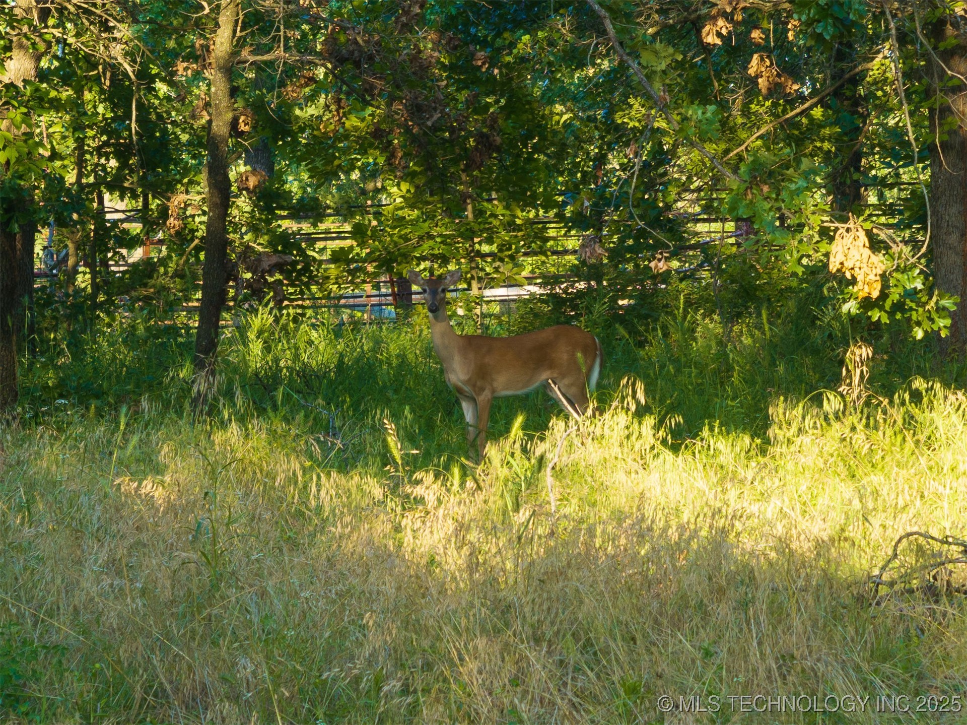 2 Ranch Land Road Property Photo 14