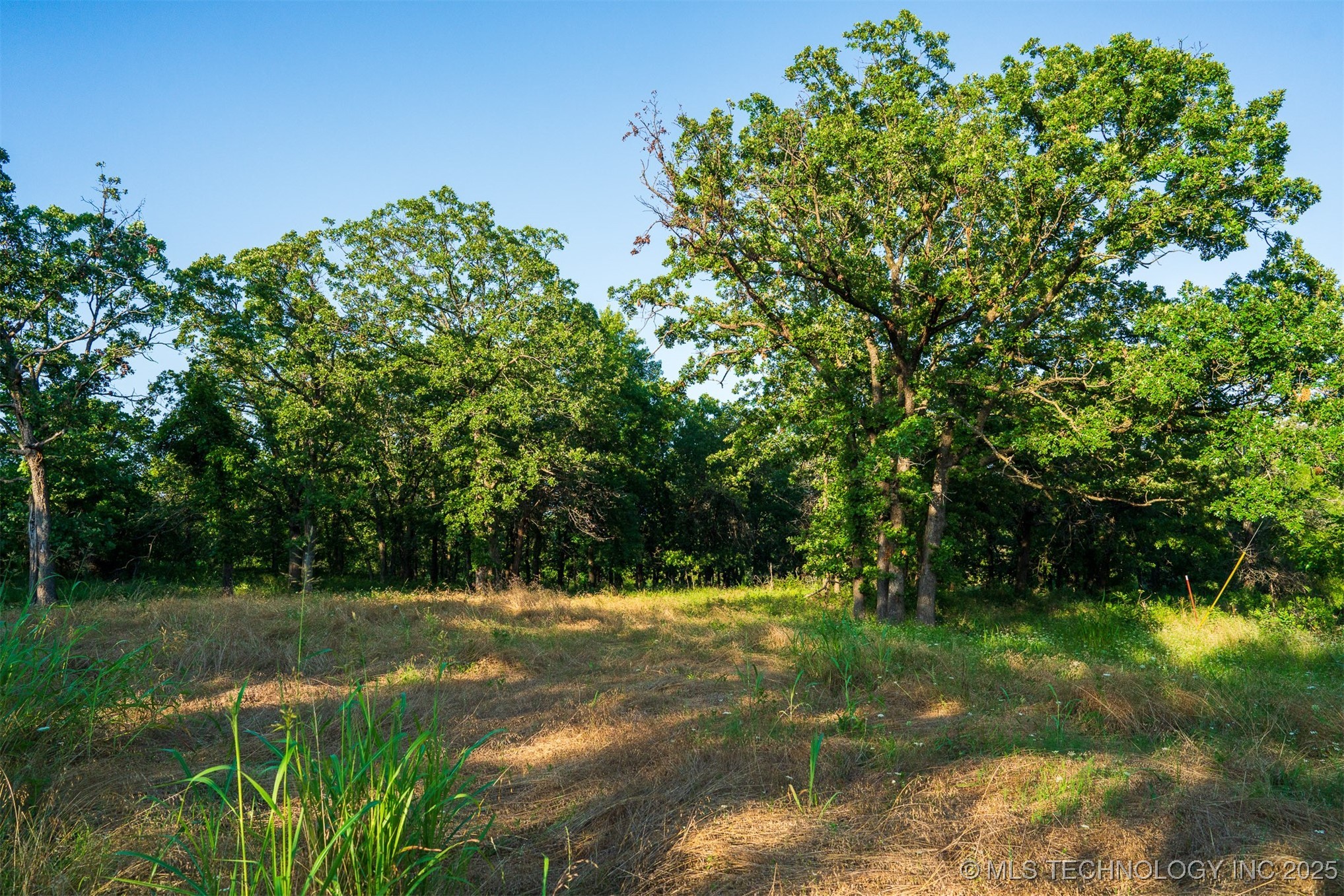 2 Ranch Land Road Property Photo 18