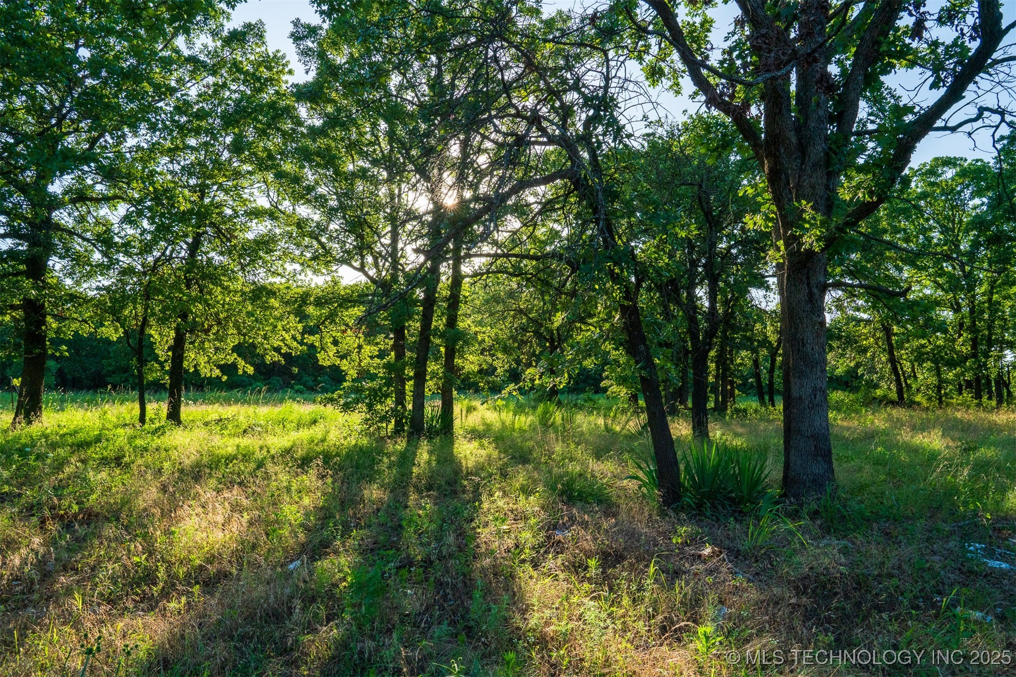 2 Ranch Land Road Property Photo 19