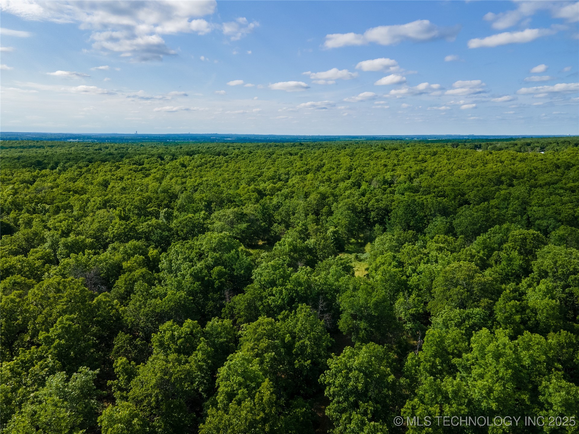 S 145th Avenue Property Photo 10