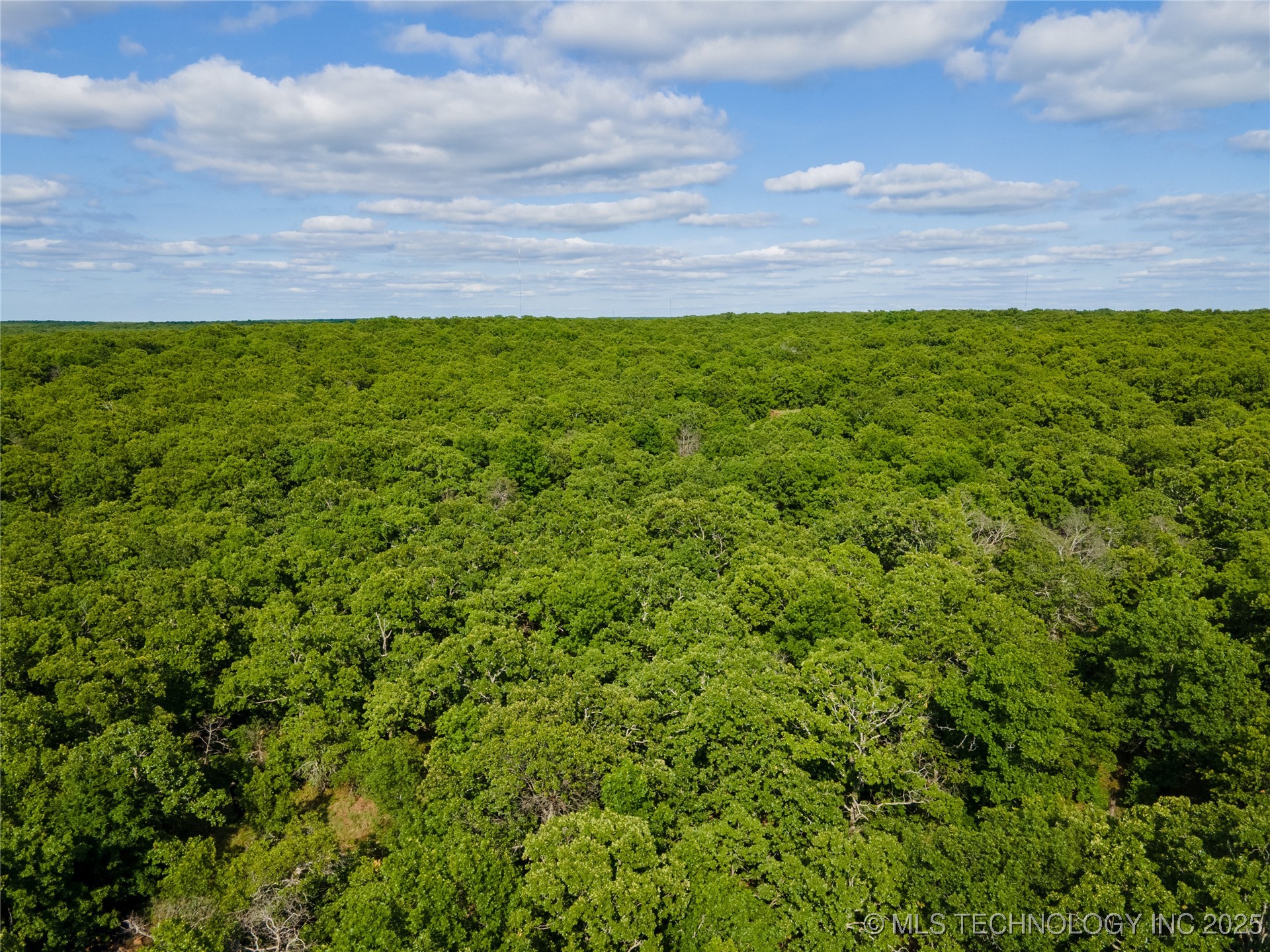 S 145th Avenue Property Photo 12