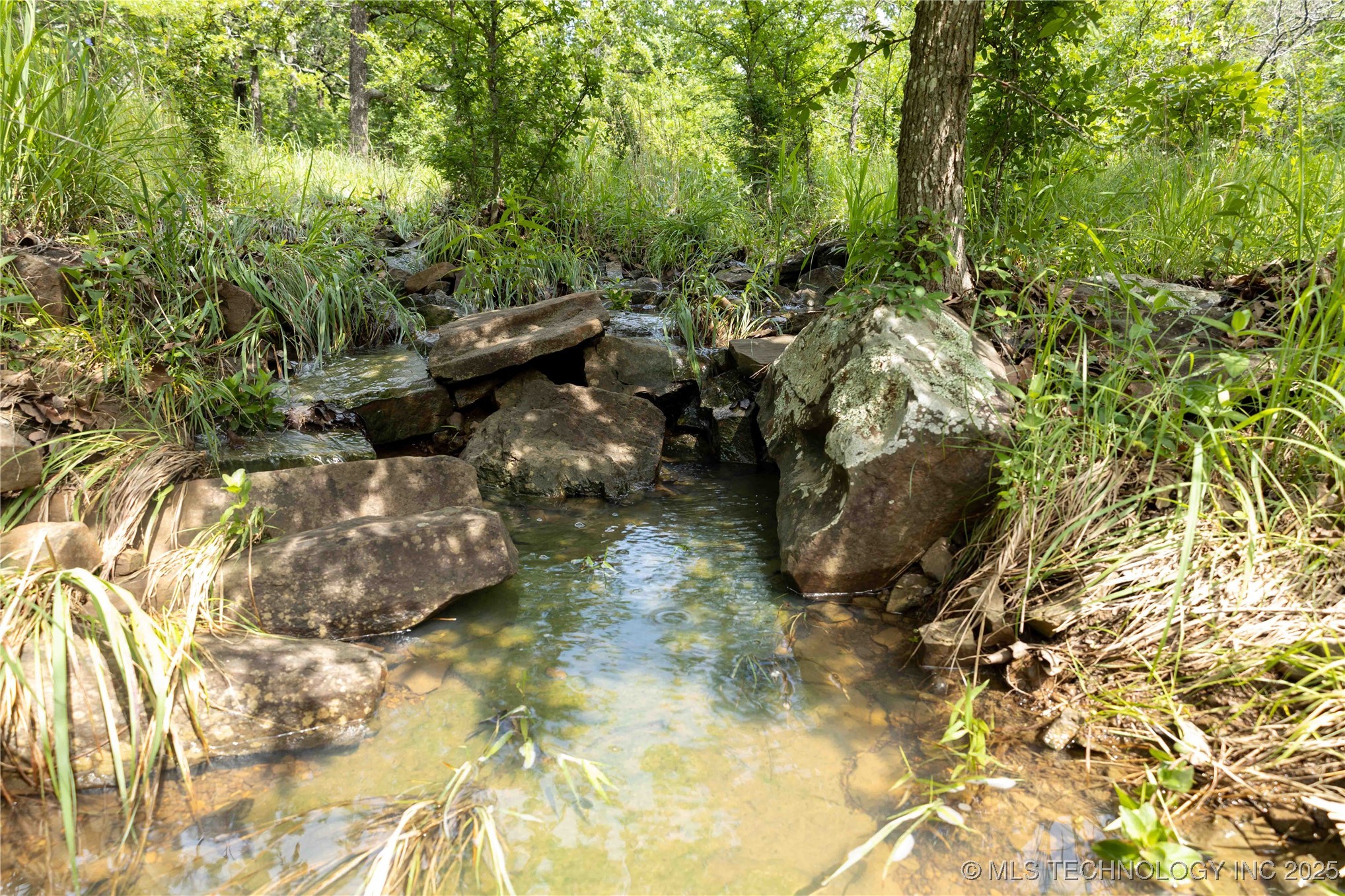 S 145th Avenue Property Photo 27