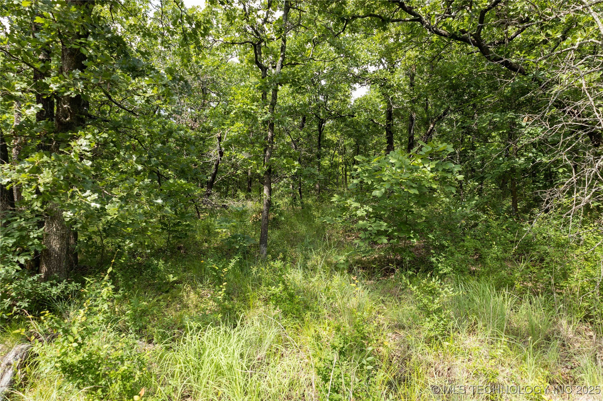 S 145th Avenue Property Photo 28