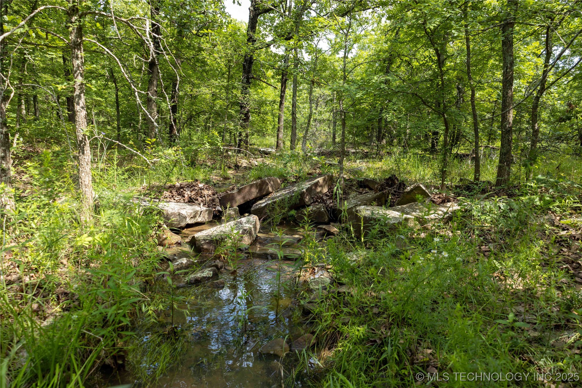 S 145th Avenue Property Photo 29