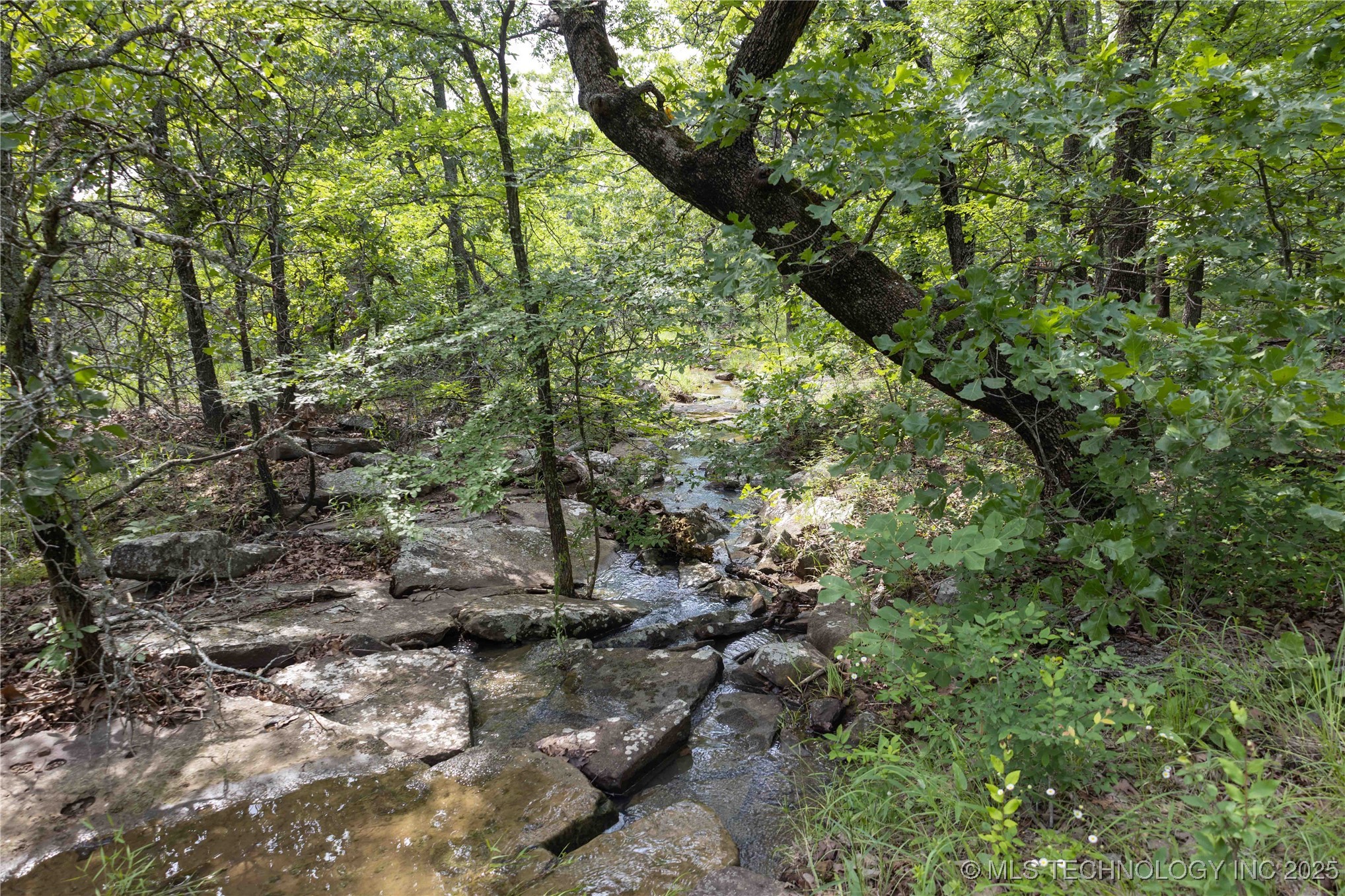 S 145th Avenue Property Photo 31