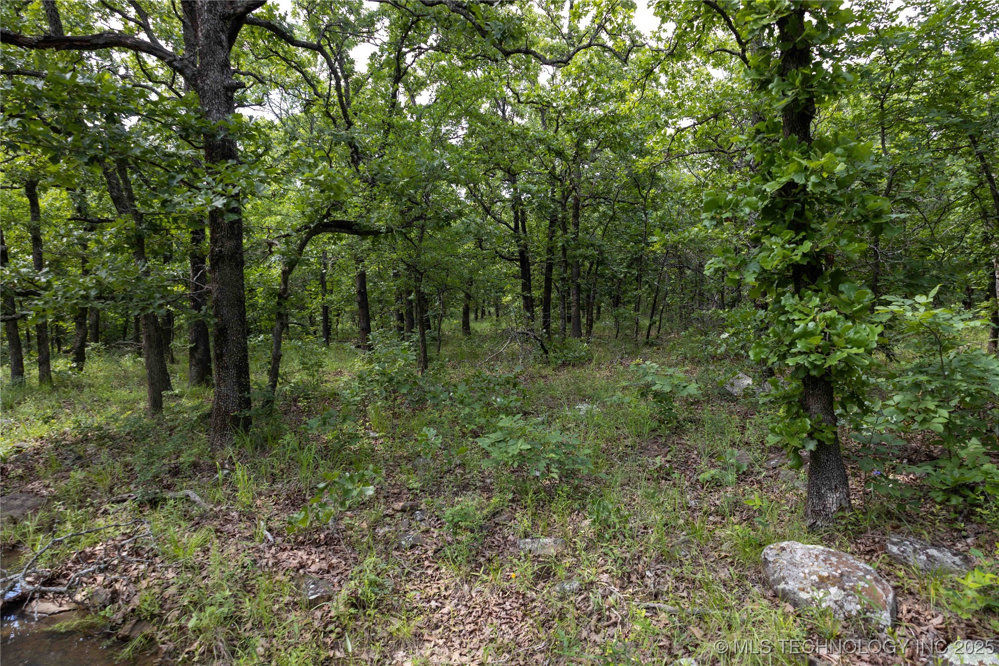 S 145th Avenue Property Photo 32