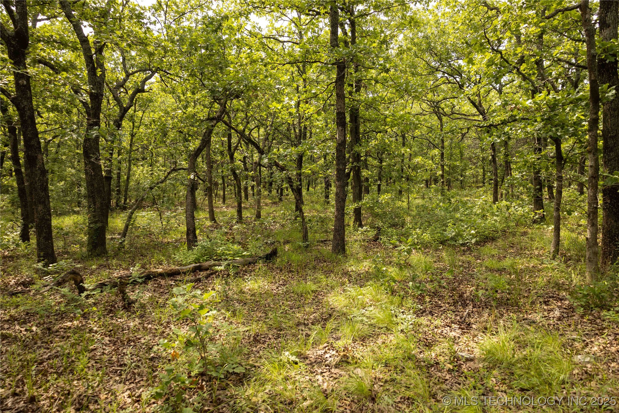 S 145th Avenue Property Photo 34