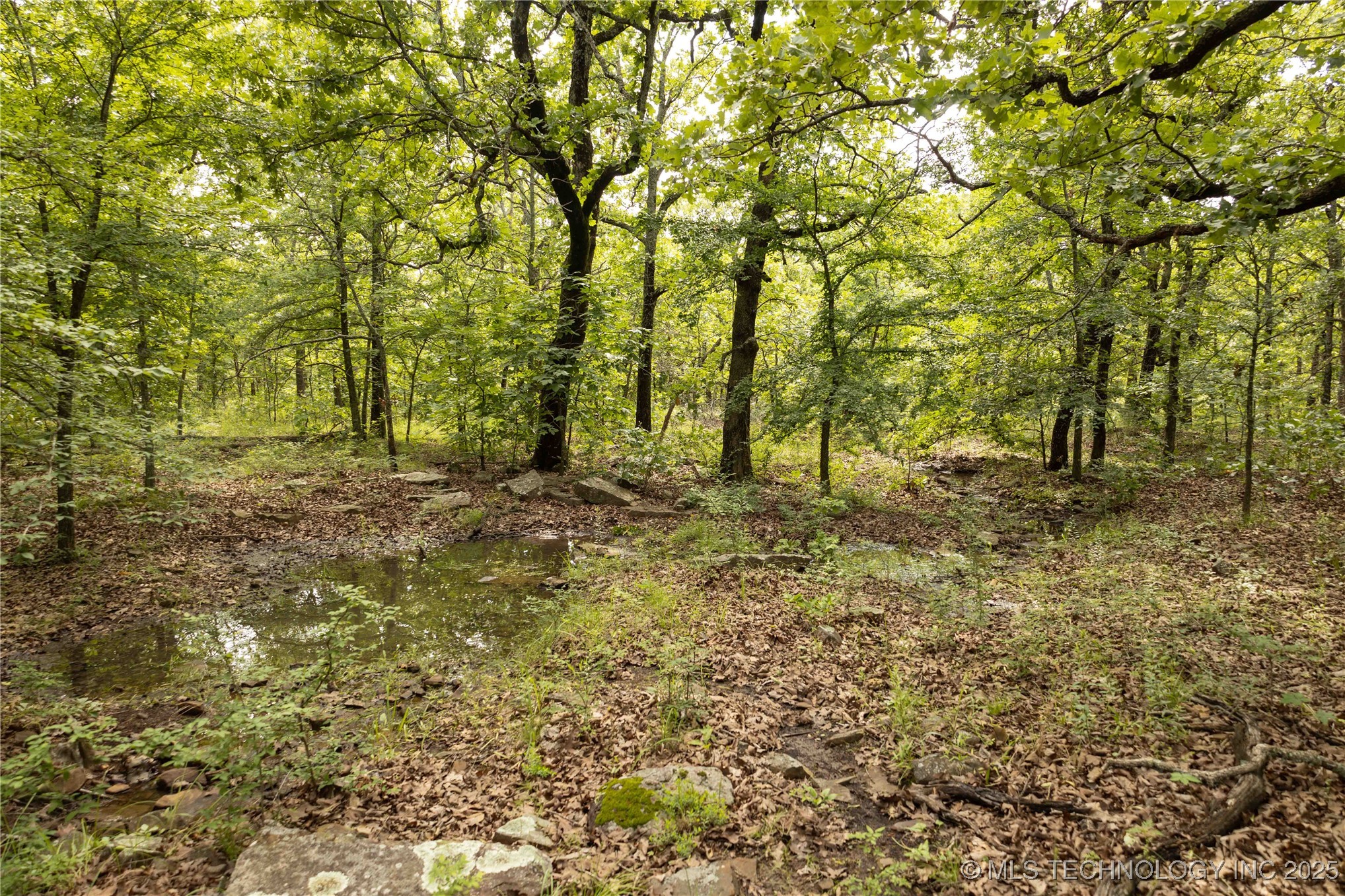 S 145th Avenue Property Photo 35