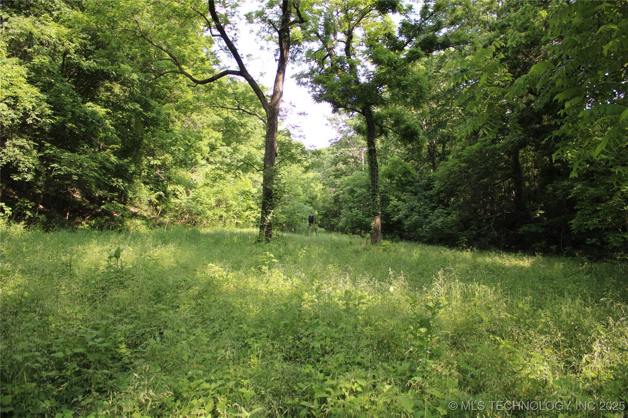 0000 S 602 Road Property Photo 8