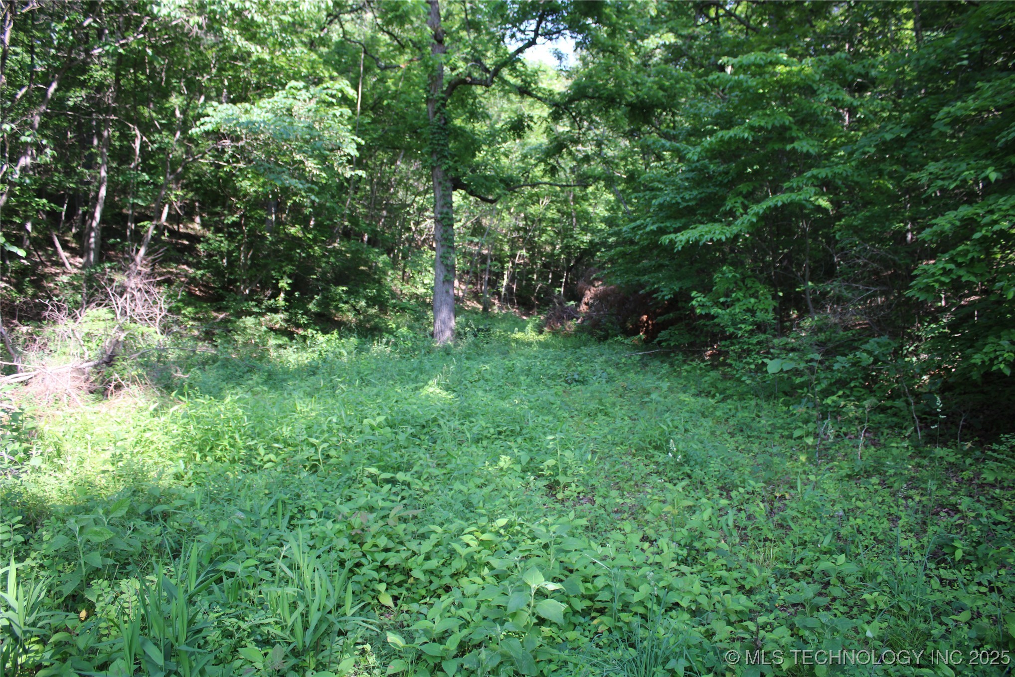 0000 S 602 Road Property Photo 12