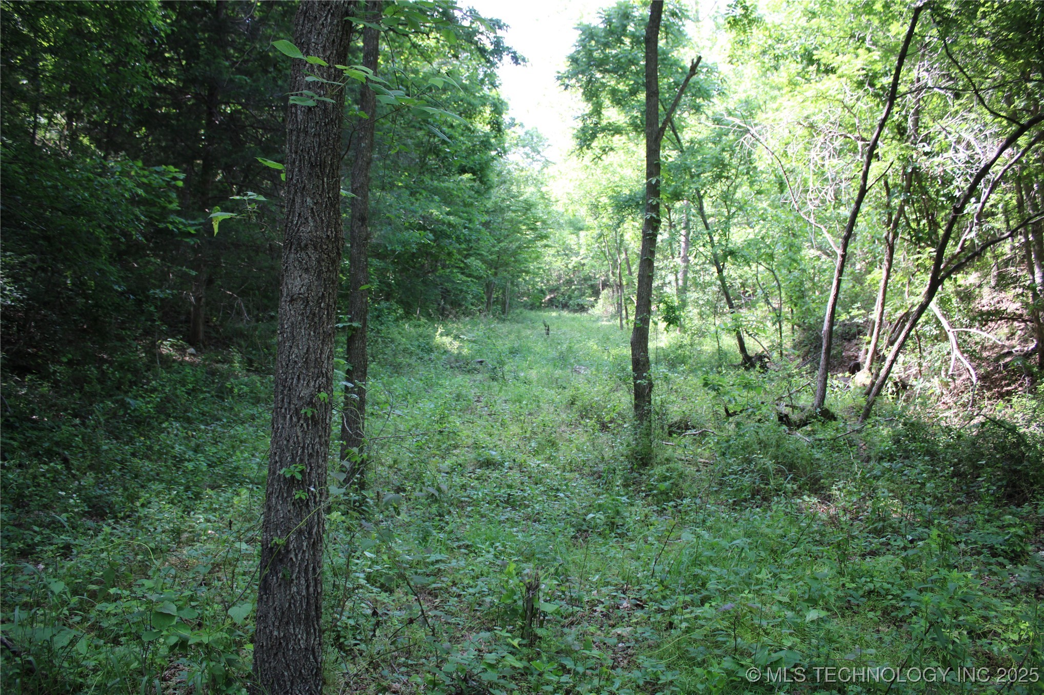 0000 S 602 Road Property Photo 24