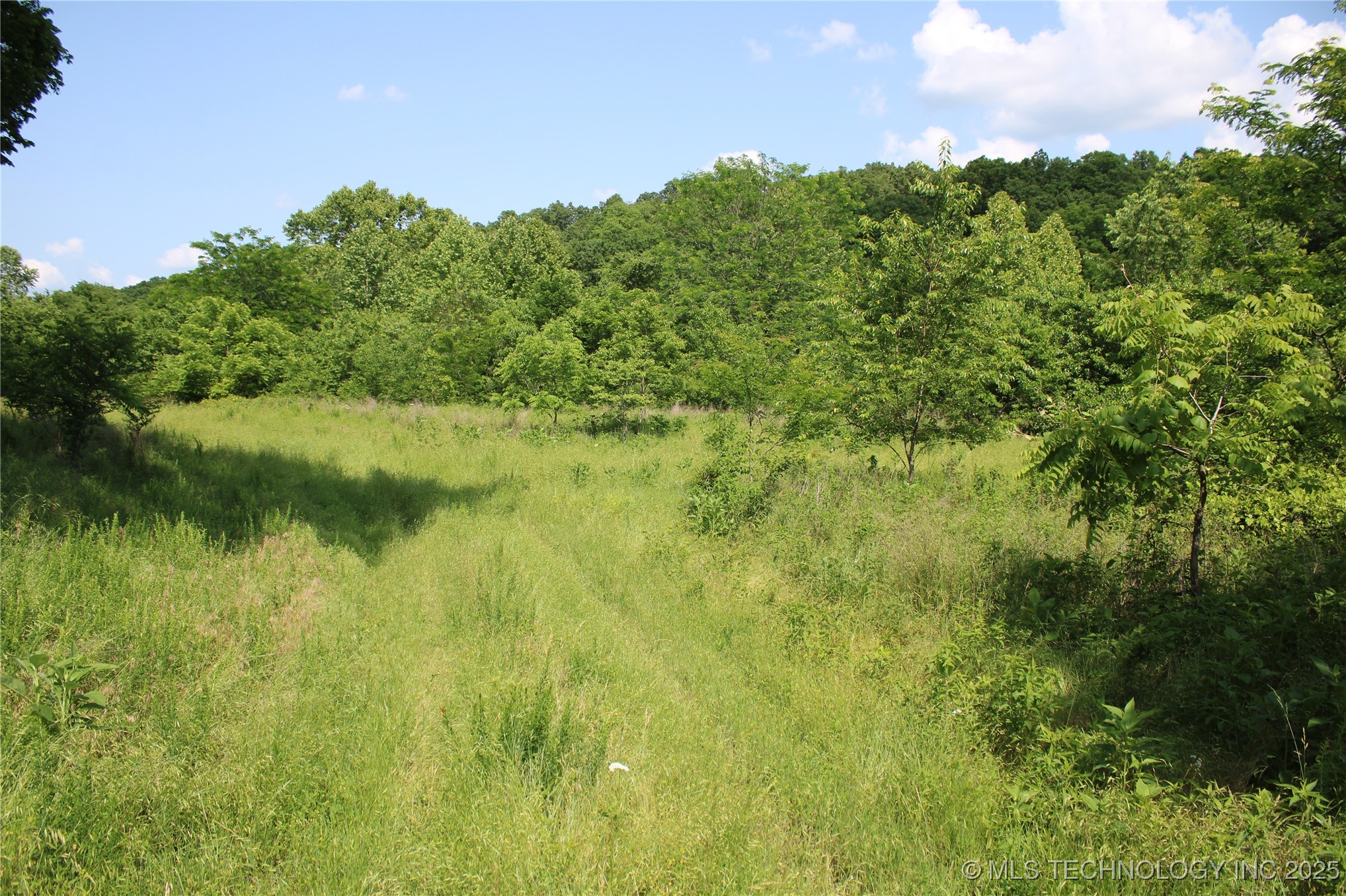 0000 S 602 Road Property Photo 32