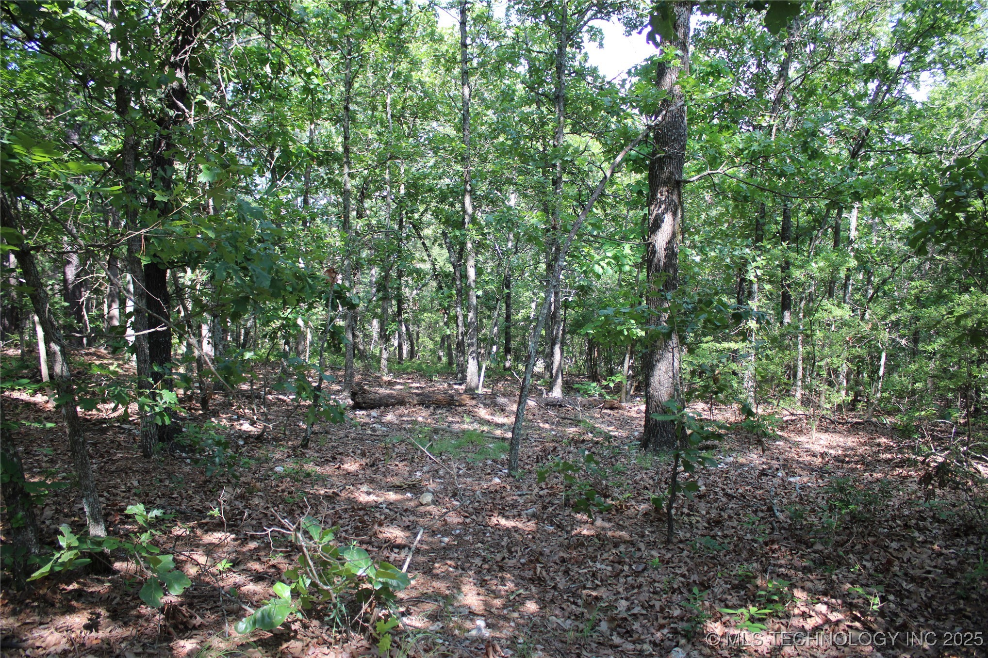 0000 S 602 Road Property Photo 34