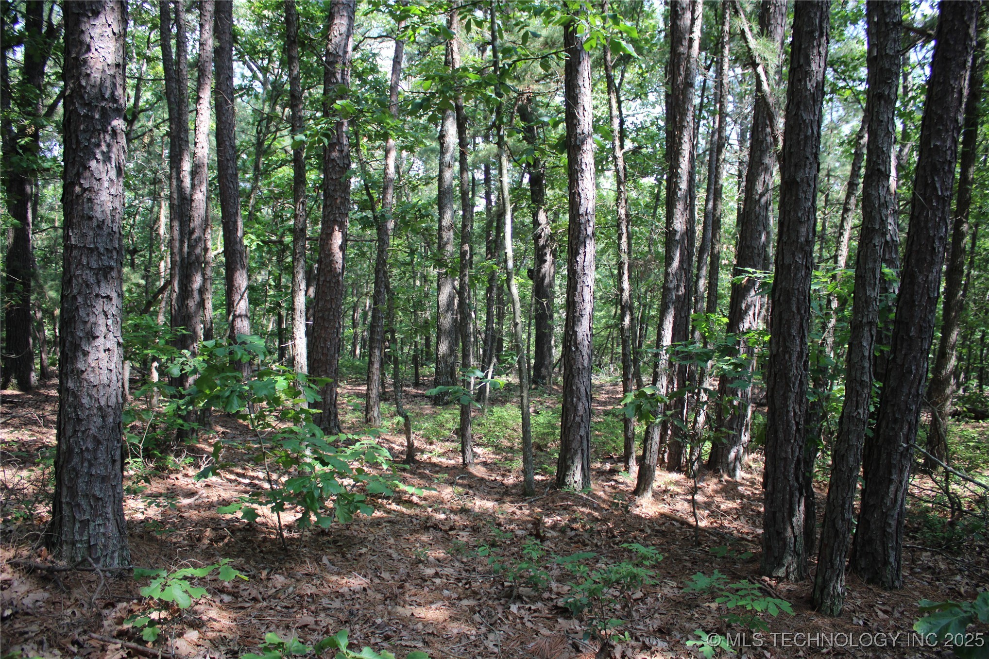 0000 S 602 Road Property Photo 35