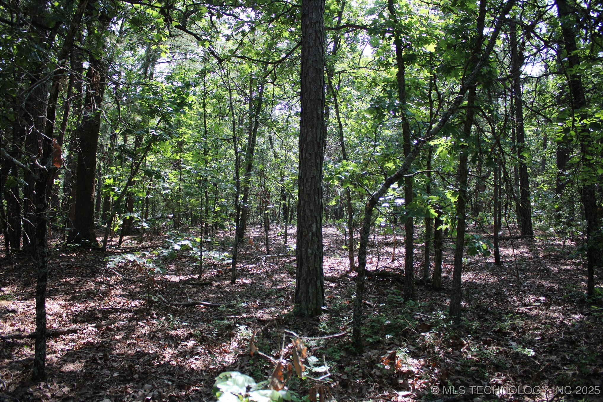 0000 S 602 Road Property Photo 36