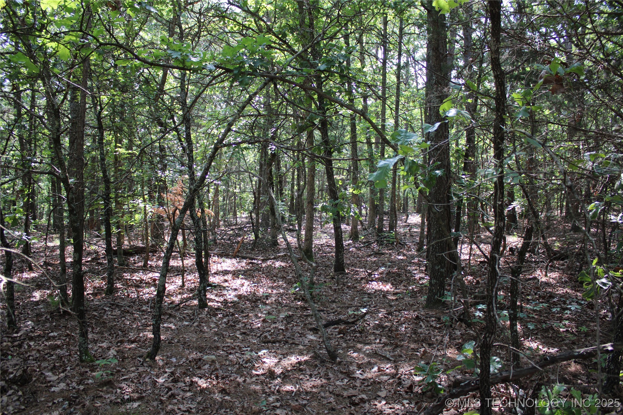 0000 S 602 Road Property Photo 37