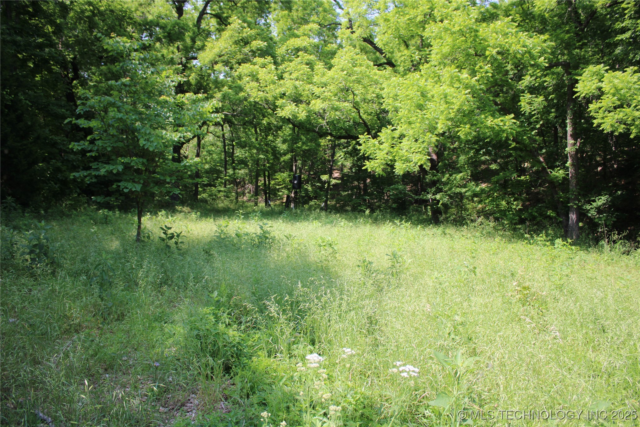 0000 S 602 Road Property Photo 38