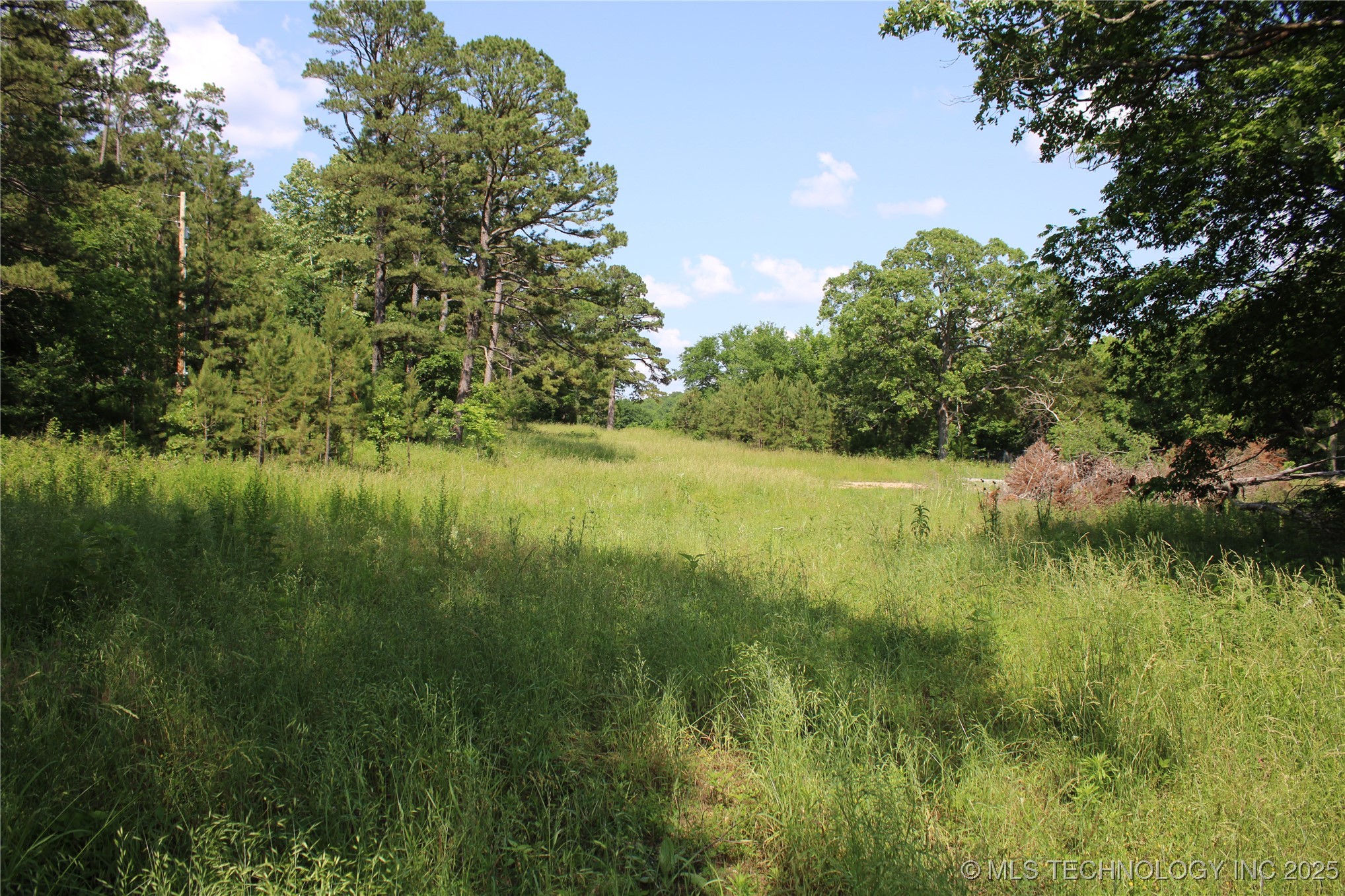 0000 S 602 Road Property Photo 46