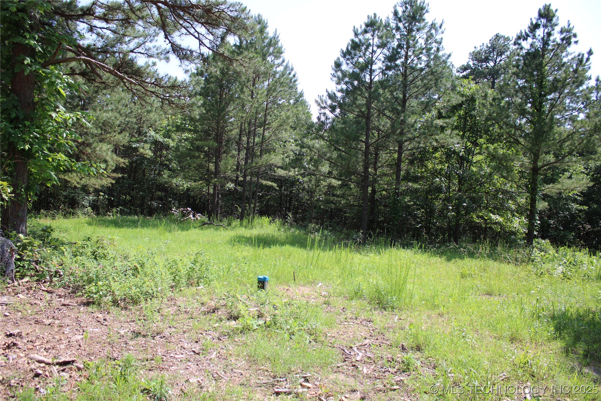 0000 S 602 Road Property Photo 52