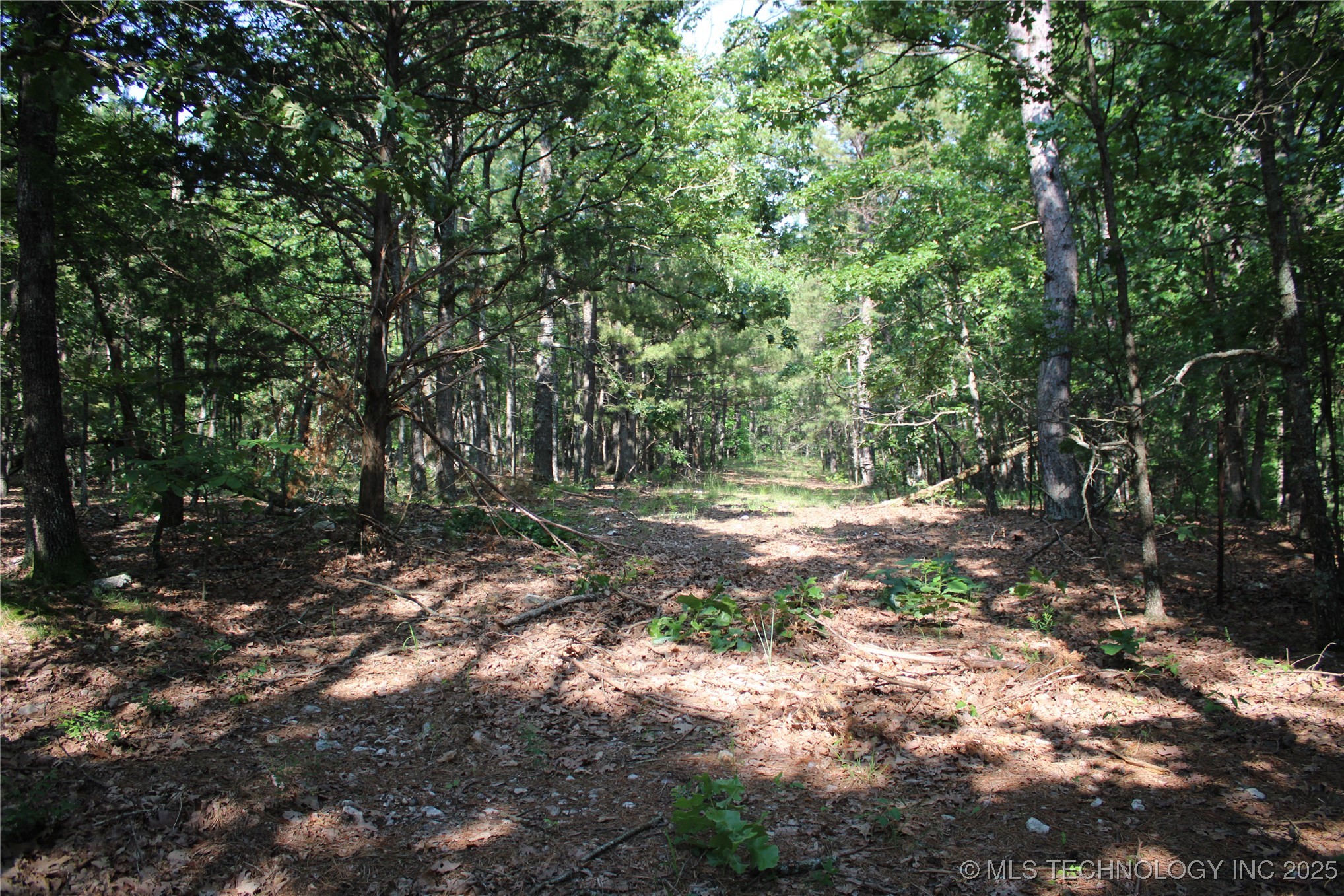 0000 S 602 Road Property Photo 65