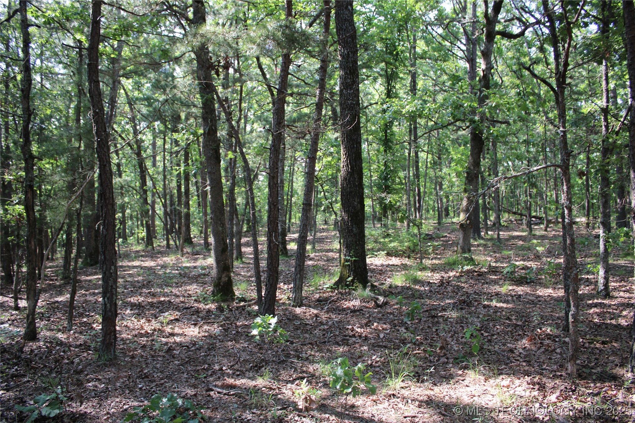 0000 S 602 Road Property Photo 66