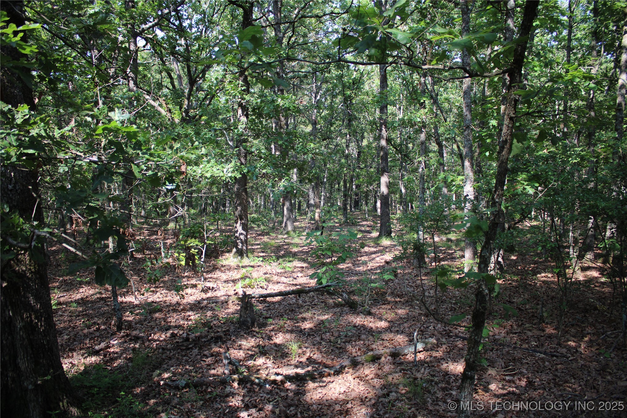 0000 S 602 Road Property Photo 67