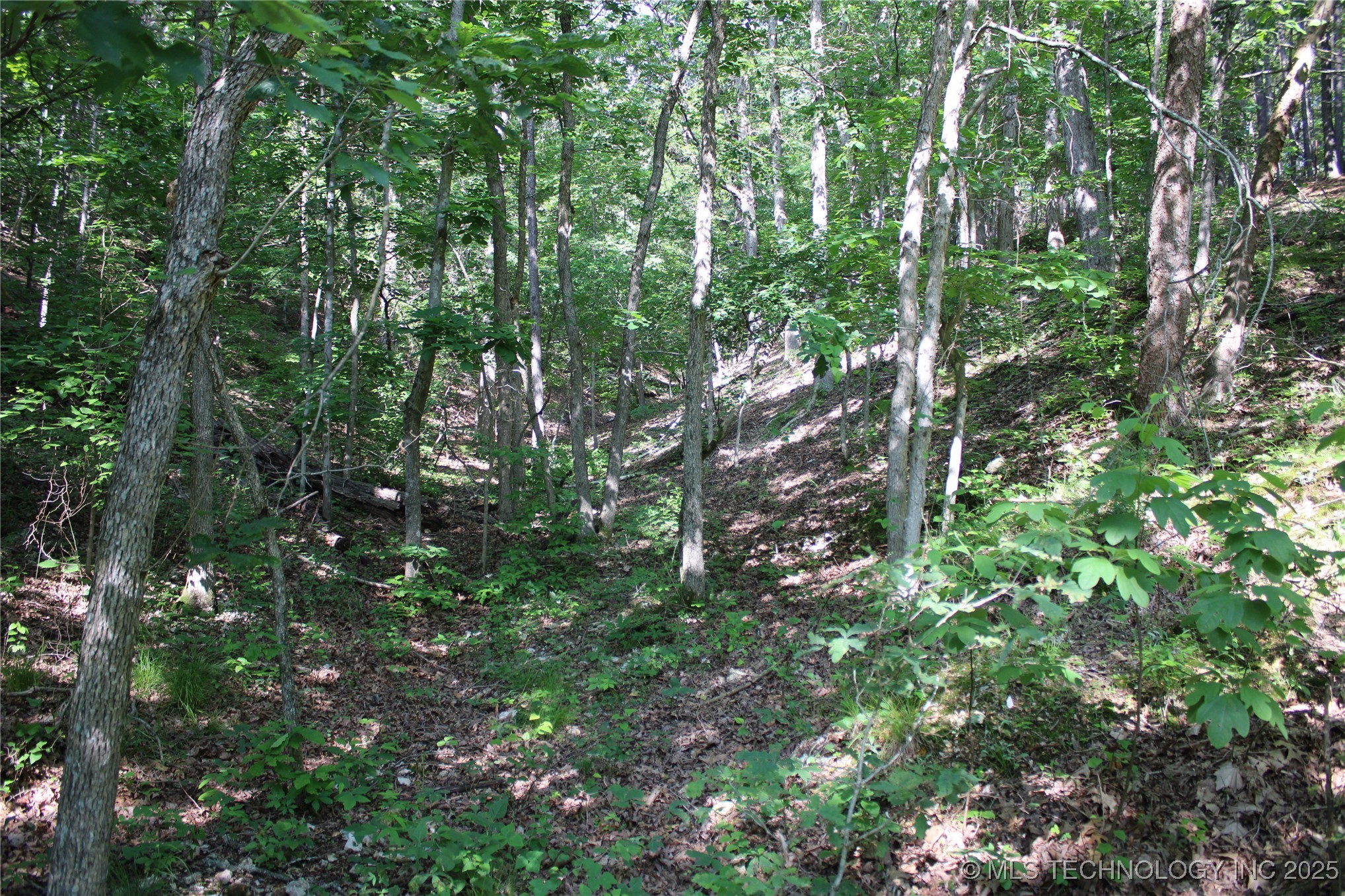 0000 S 602 Road Property Photo 74