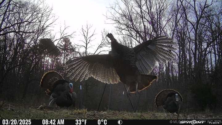 0000 S 602 Road Property Photo 83