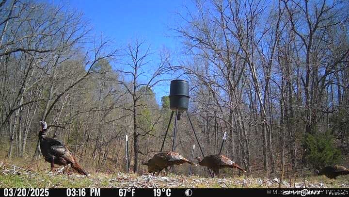 0000 S 602 Road Property Photo 84