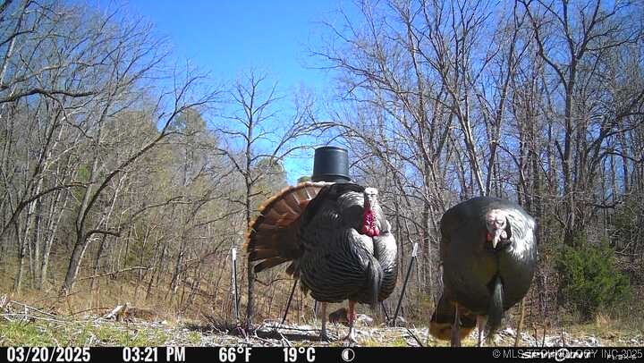 0000 S 602 Road Property Photo 85