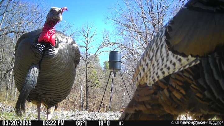 0000 S 602 Road Property Photo 86