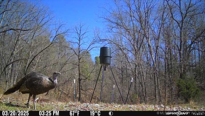 0000 S 602 Road Property Photo 87