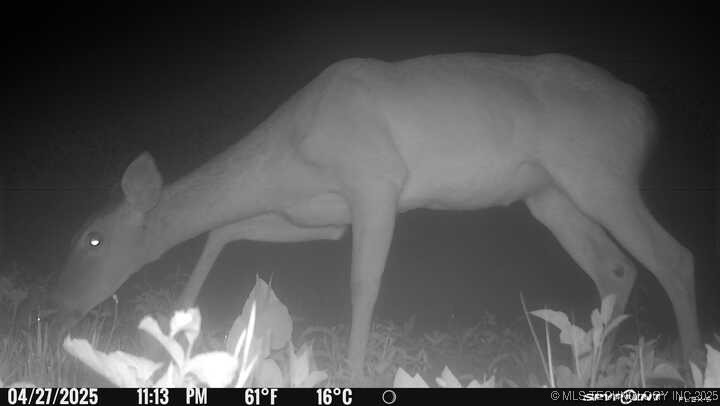 0000 S 602 Road Property Photo 88