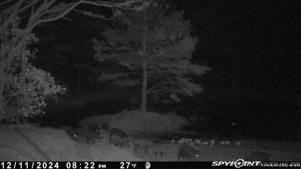 0000 S 602 Road Property Photo 89