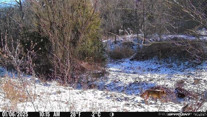 0000 S 602 Road Property Photo 90