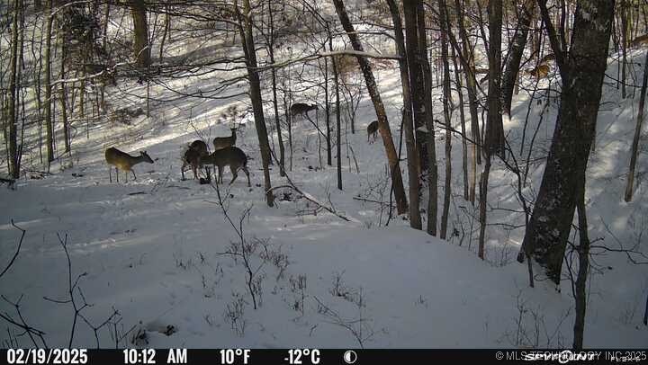 0000 S 602 Road Property Photo 91