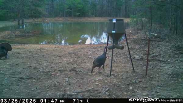 0000 S 602 Road Property Photo 92