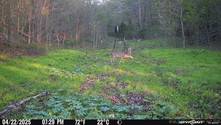 0000 S 602 Road Property Photo 93