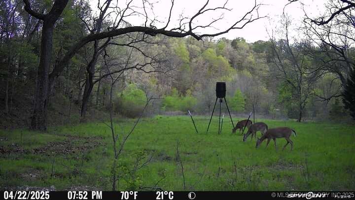 0000 S 602 Road Property Photo 95