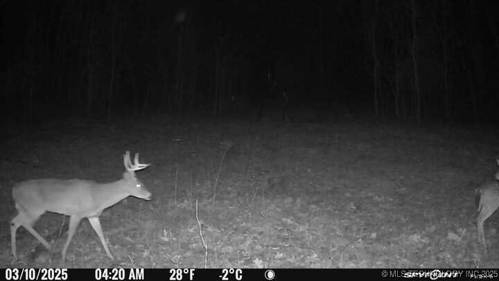 0000 S 602 Road Property Photo 98