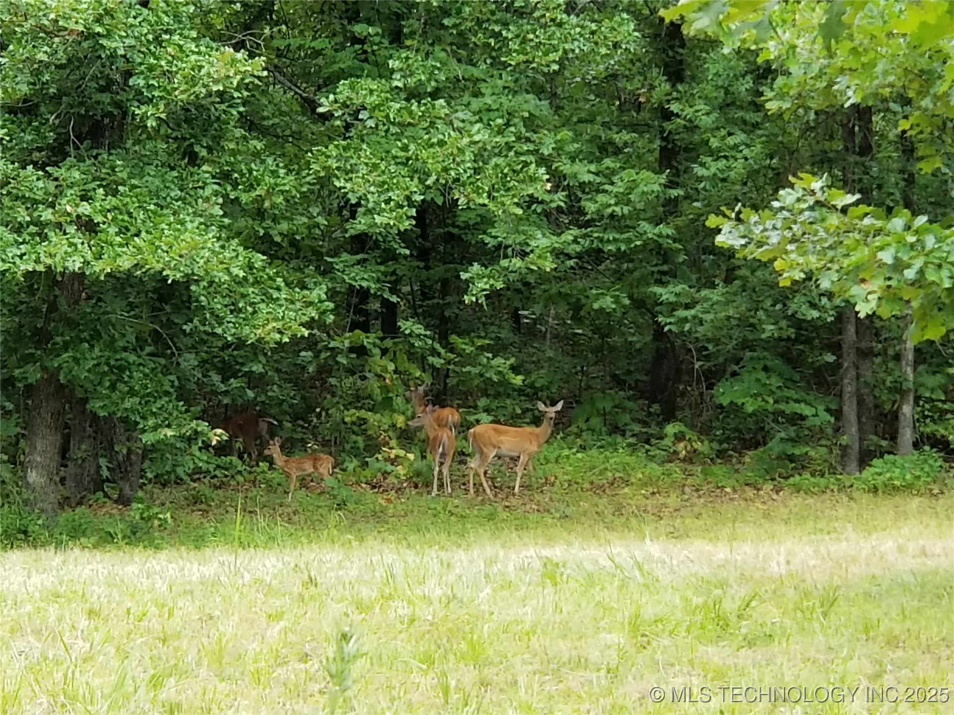 66 Edge Water Road Property Photo 25