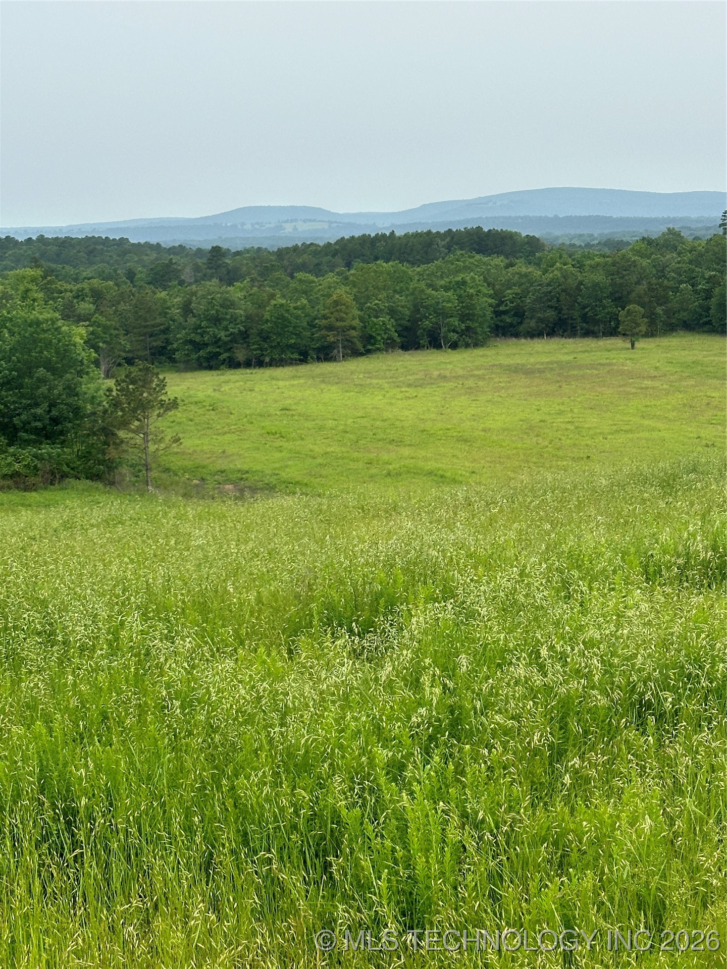 28574 Pocahontas Road Property Photo 34