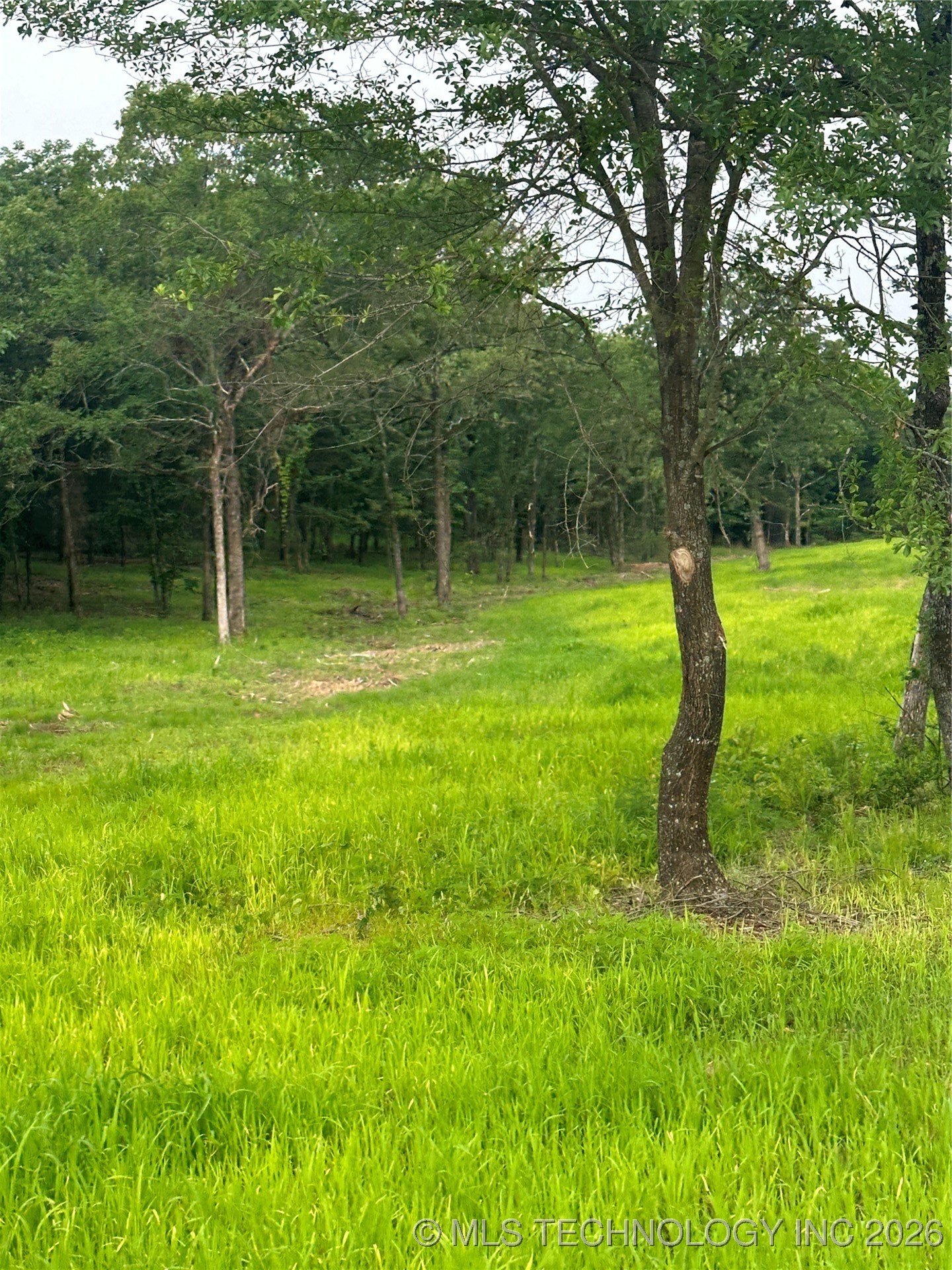 28574 Pocahontas Road Property Photo 35