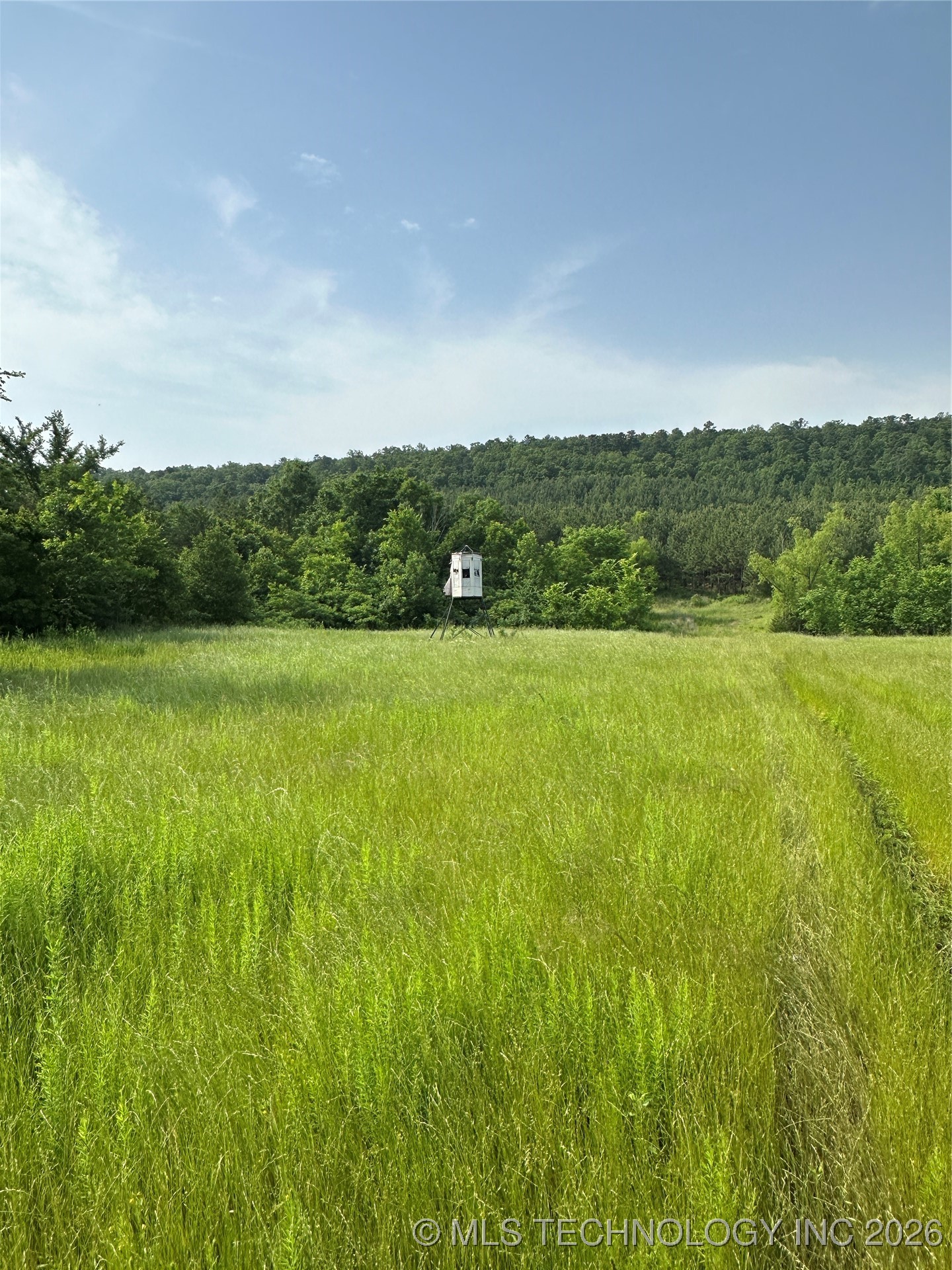 28574 Pocahontas Road Property Photo 37