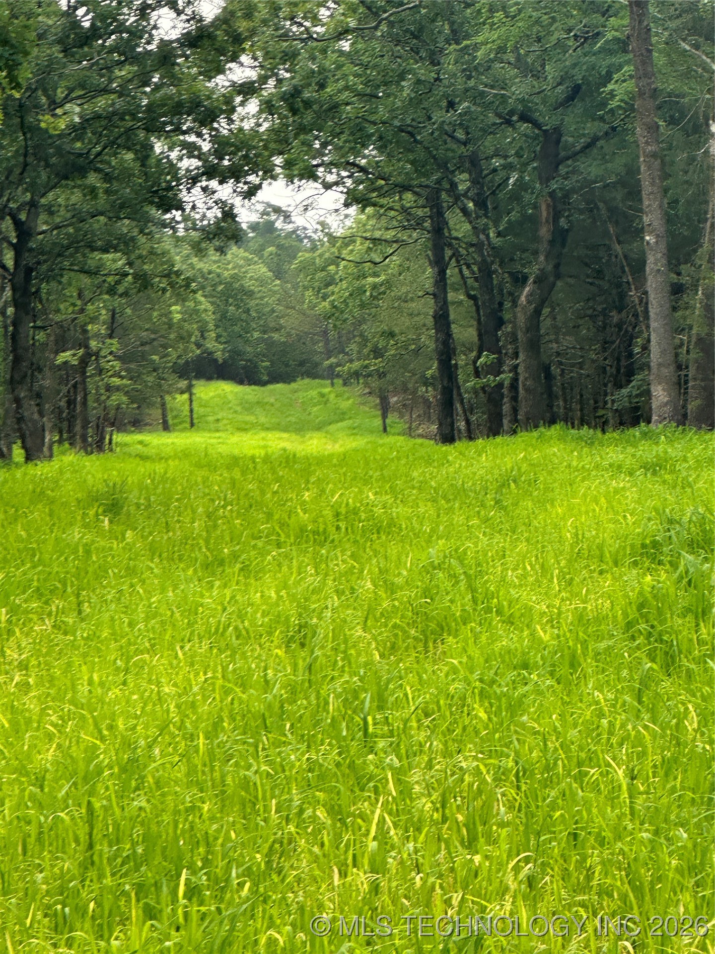 28574 Pocahontas Road Property Photo 39