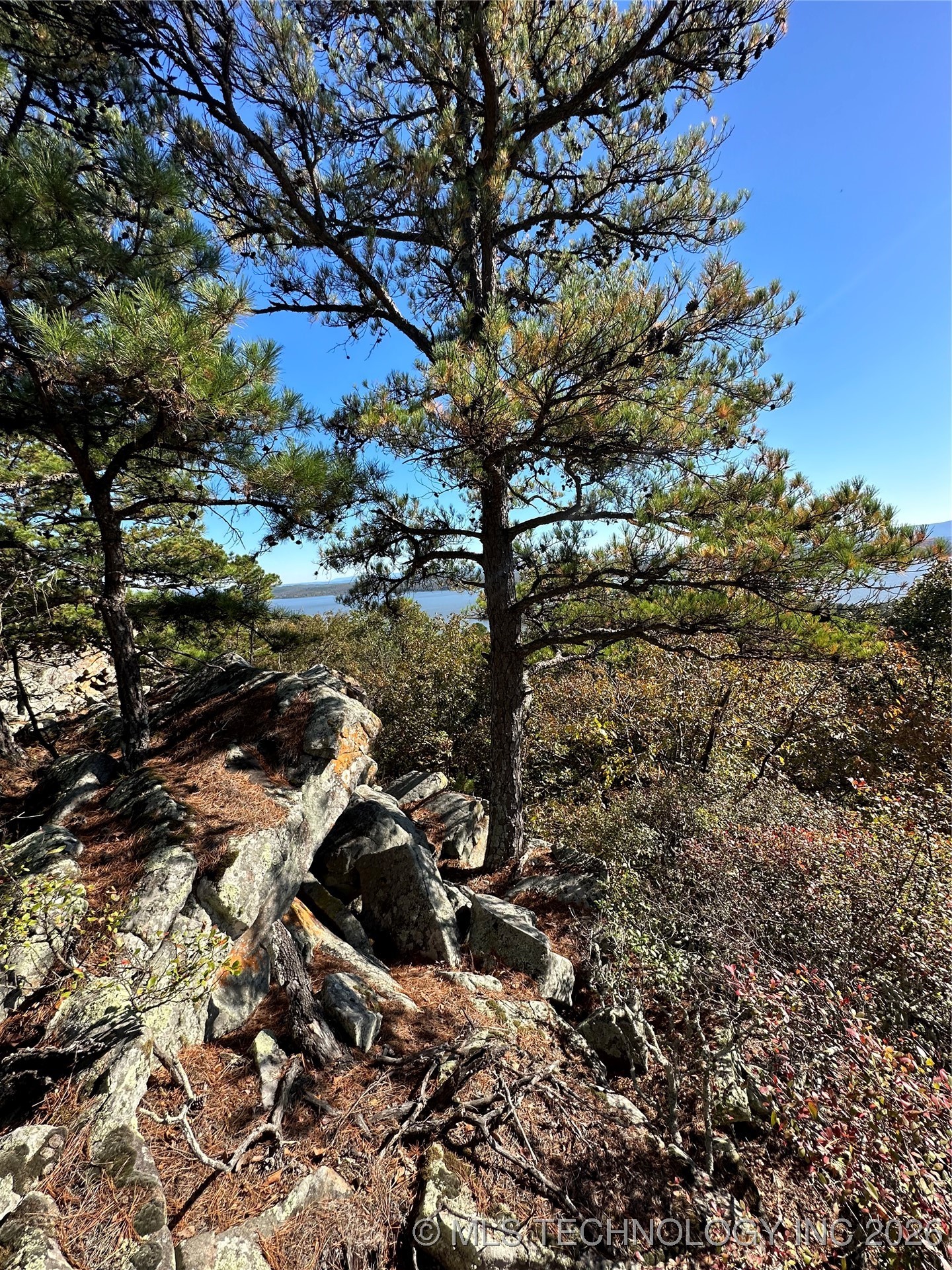 28574 Pocahontas Road Property Photo 42