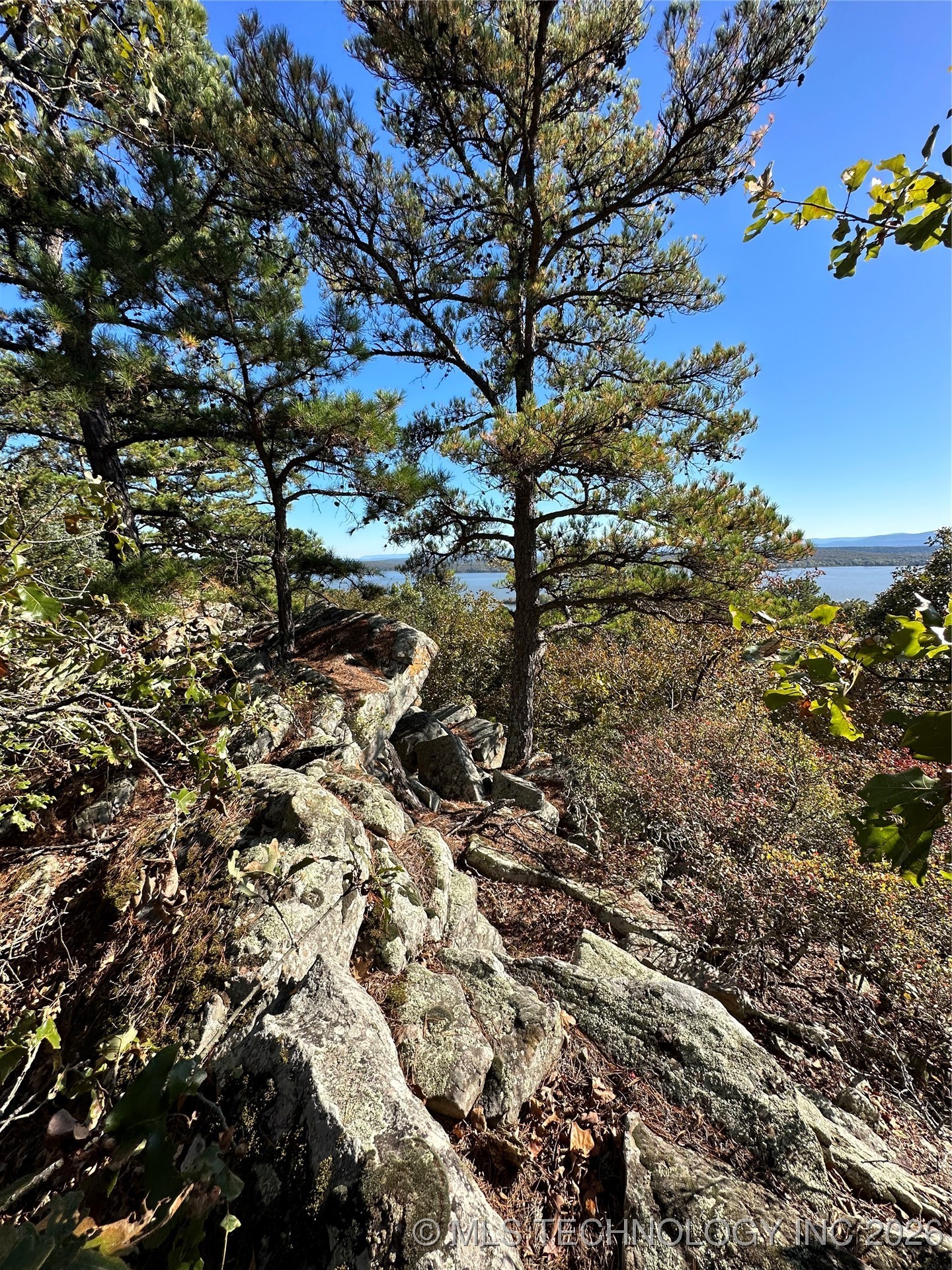 28574 Pocahontas Road Property Photo 43