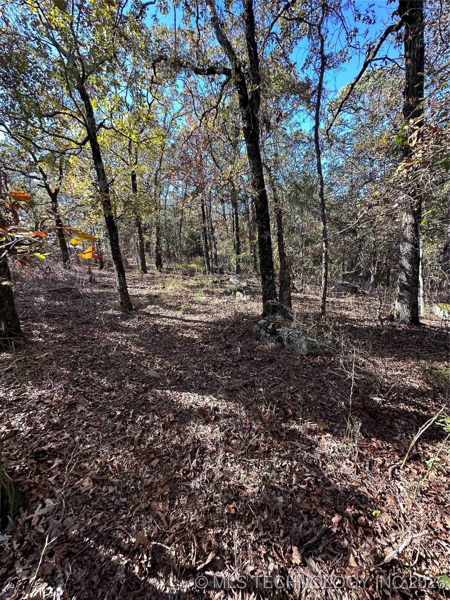 28574 Pocahontas Road Property Photo 44