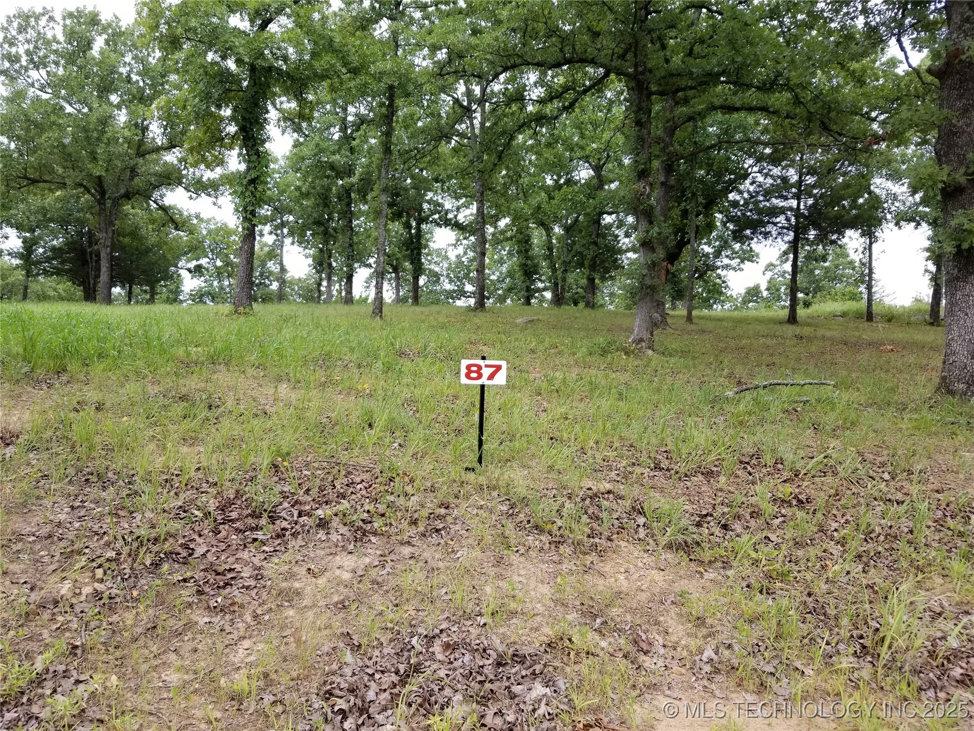 87 Edge Water Road Property Photo 6